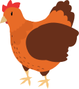 default_img
