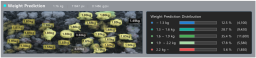 XISOM_farm_weight_prediction