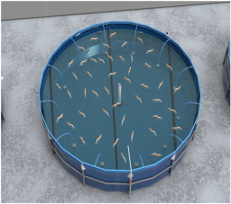 Smart_Aquaculture_Detail_tank_image